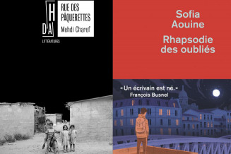 litterature